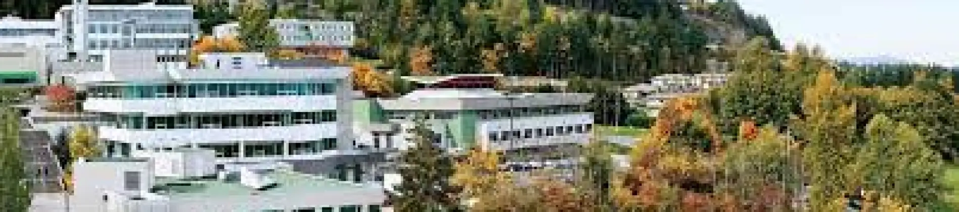 Culinary Arts and Baking and Pastry Arts Management Bridging